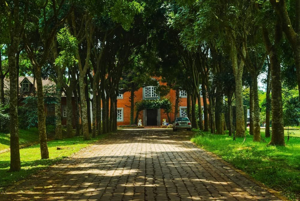 Garage door services in Freetown